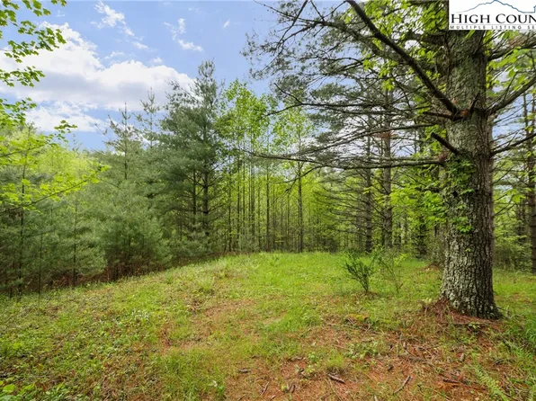 Lots 20 & 21 Noble Drive, Fleetwood, NC 28626