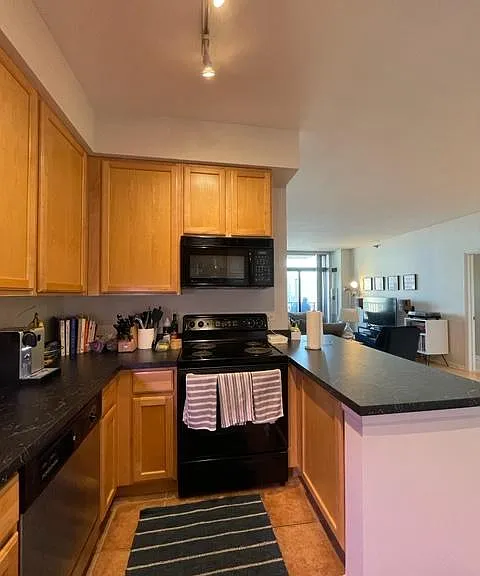 435 W Erie St #2006 — Photo 11