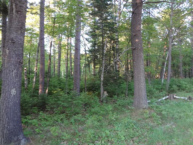 1st image of Lot 11 Lost Lake Dr. W