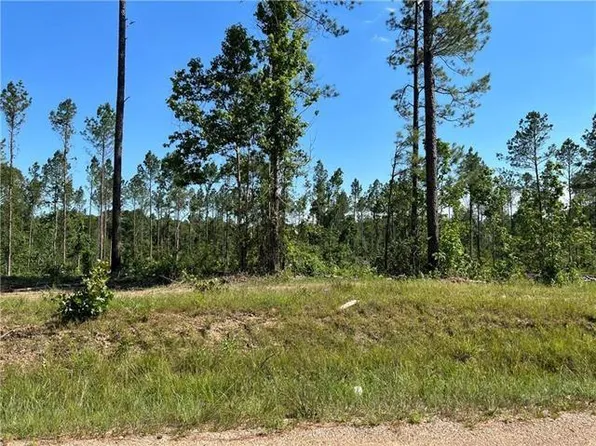 LOT 6 Walker Ferry Rd Lot 6, Pollock, LA 71467