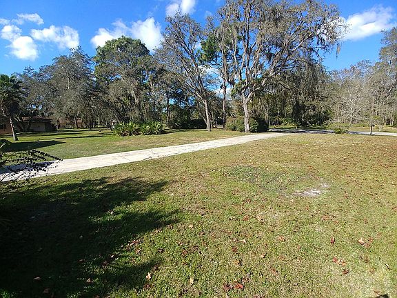 Front yard/ Driveway