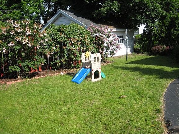 Back yard, gorgeous lilacs