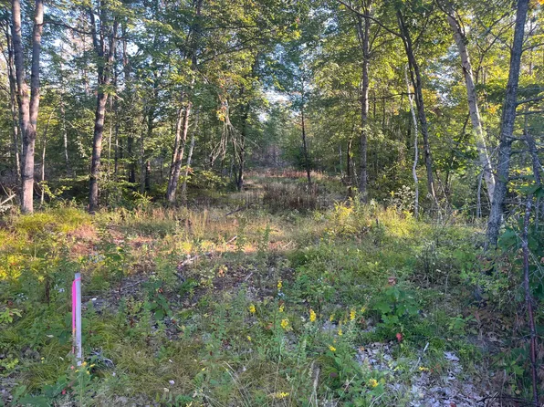 0 Flagg Mill Road, Naples, ME 04055