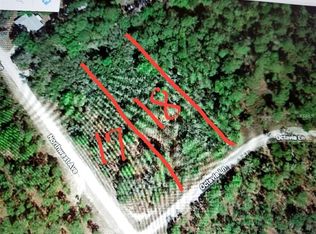 Octavia Ln, Webster, FL 33597