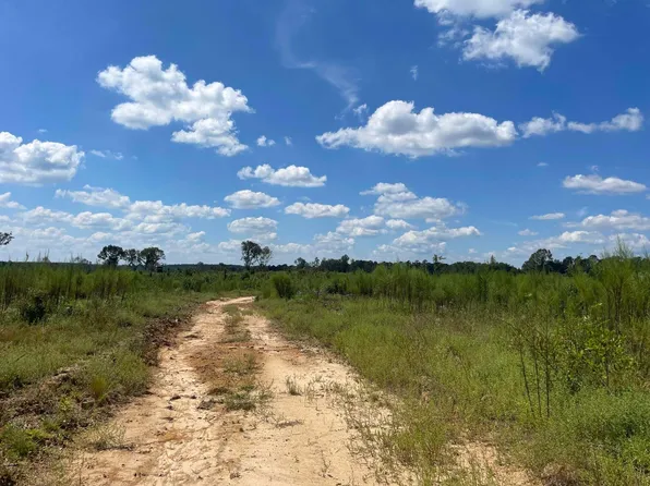 0 King Ln, Carson, MS 39427