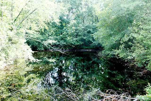 2nd image of TBD Pendergrass Road LOT 1 (see addendum)