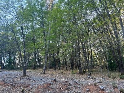 12103 Lowhills Rd, Nevada City, CA, 95959