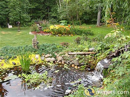 back yard overlooking pond