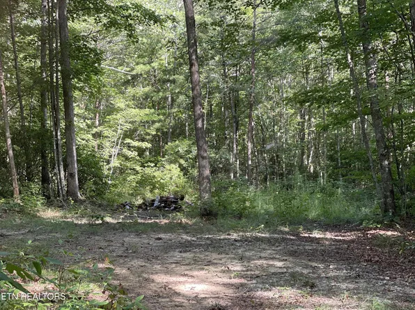 721 Big Piney Loop, Wilder, TN 38589