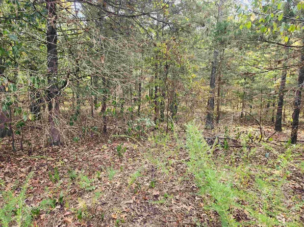 L24b3 Bokchito Dr, Cherokee Village, AR 72529