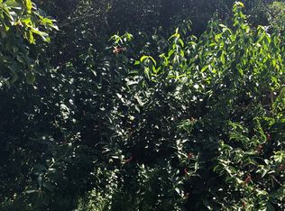 15-2805 S Oio St LOT 1509, Pahoa, HI 96778