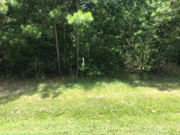 26440 Saddle Horn Dr, Waller, TX 77484