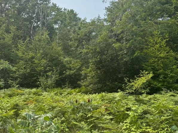 V/l Bradford Dr, Frederic, MI 49733