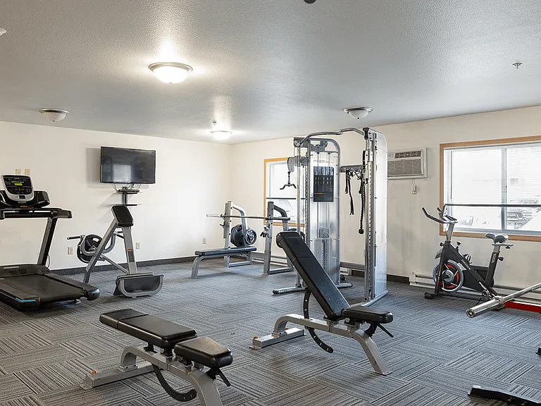 Cardio Machines & Strength Training Equipment