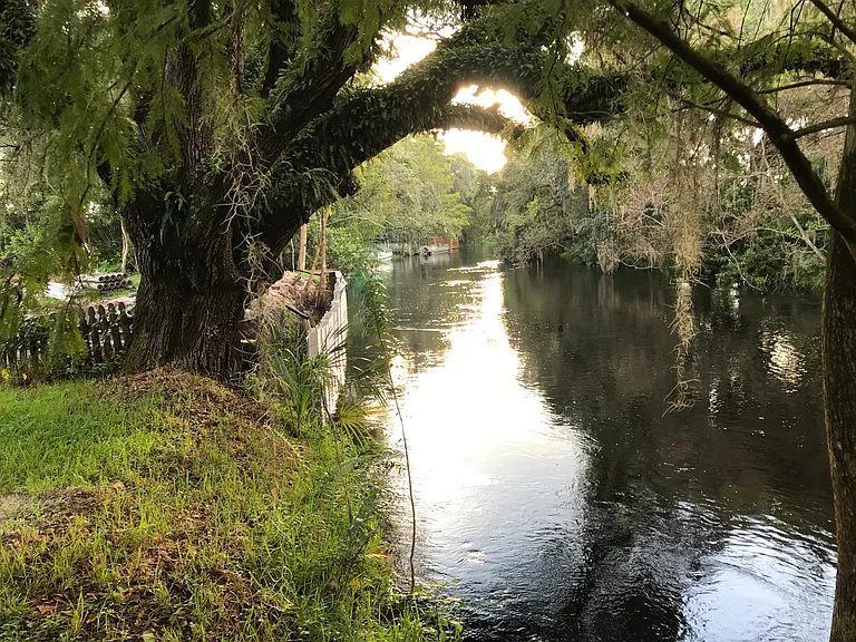 Single creek in backyard