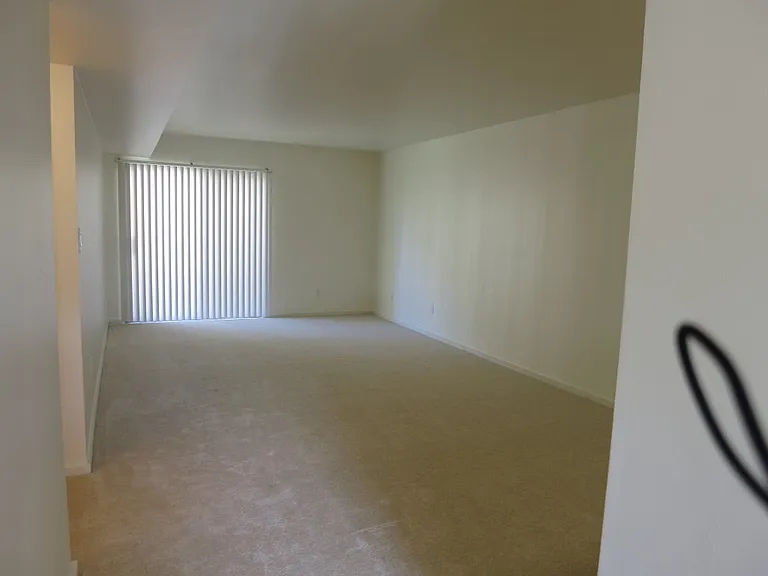 1002 Linden Ave #210 — Photo 6