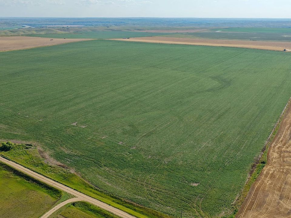 Dji Fly 20260715 181558 0210 1784159429076 Photo