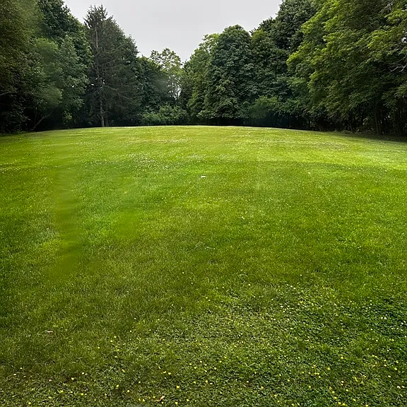72 Ober Rd #72 — Photo 2