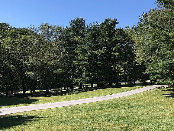 View from front porch 