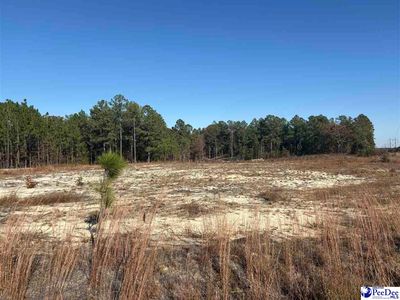 Ruby Rd, Hartsville, SC, 29550