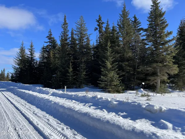 727555 Grumman Ave, Anchor Pt, AK 99556