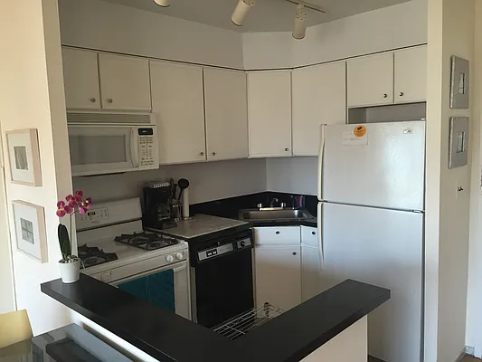 Rented by Apt 168 Inc | media 37