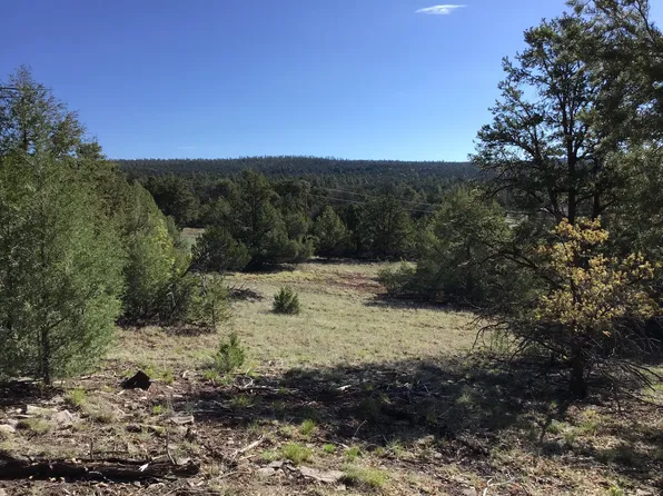 14 Fox Rd, Ramah, NM 87321