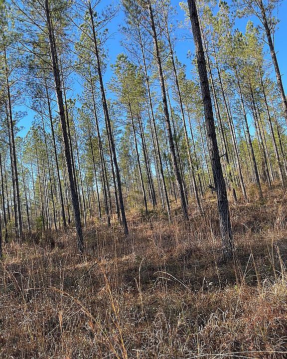 1st image of 550 Lee Road 333