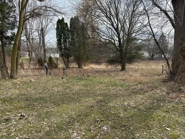 401 W Bradford St, Stanton, MI 48888