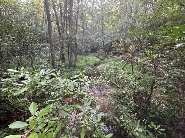 184 Wild Horse Trl Lot 184, Lancaster, VA 22503