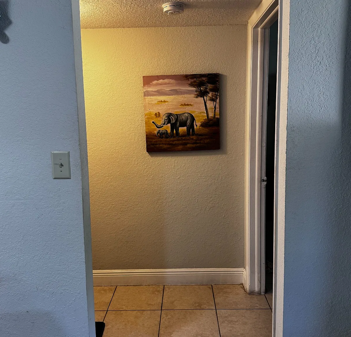 1 bed, 678 sqft, $1,700 — Photo 2