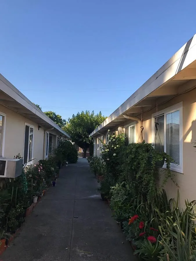 1 bed, 400 sqft, $2,100 — Photo 3