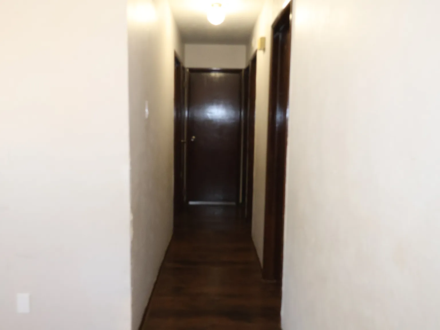 4 bed, 1.5 bath, 1257 sqft, $1,950 — Photo 3
