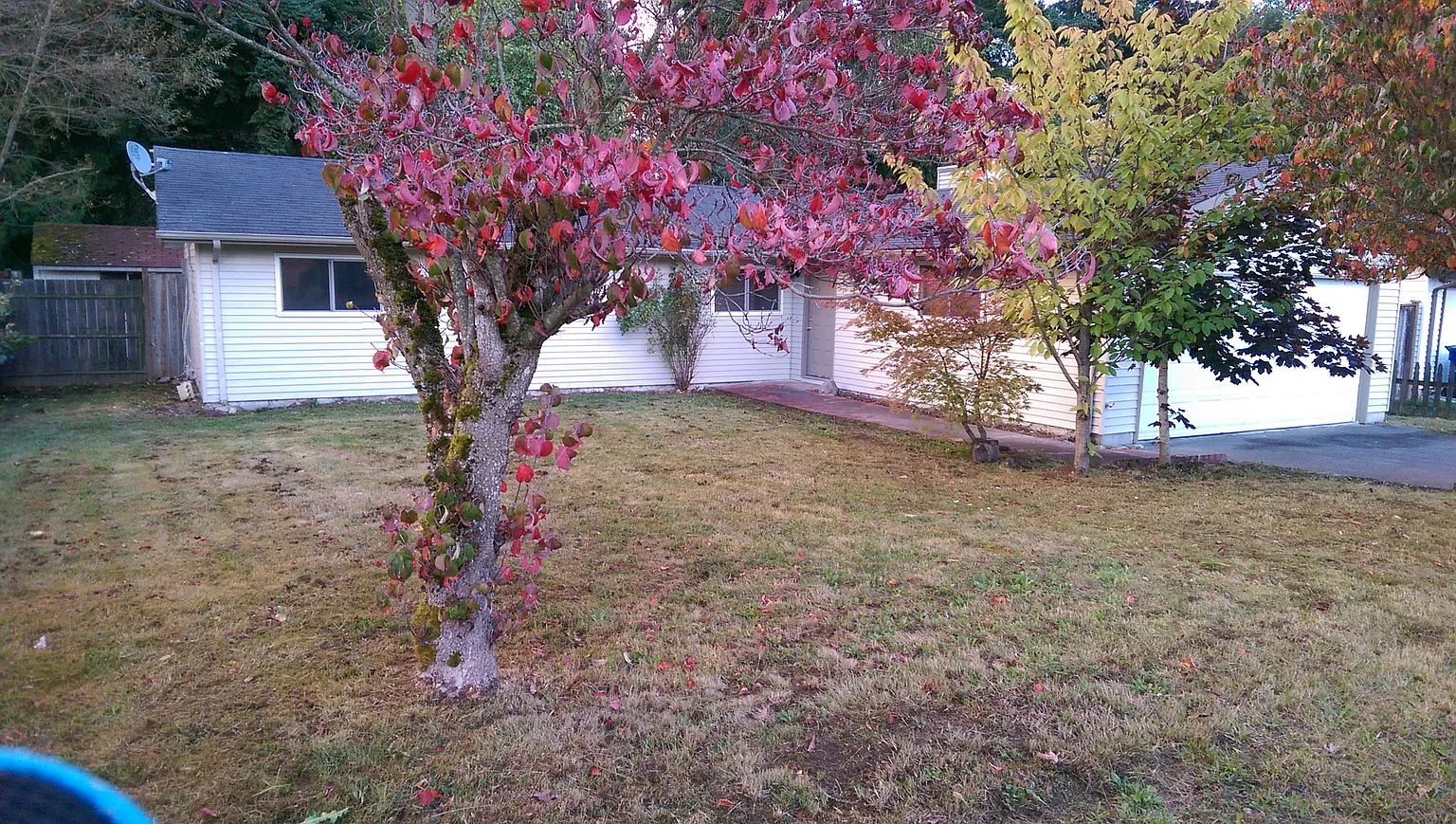 28520 29th Pl S photo 1