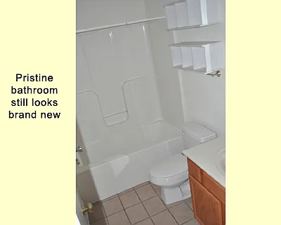 1 bed, 500 sqft, $1,295 — Photo 2