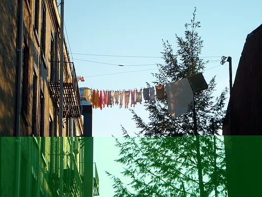 Rented by Corcoran | media 11