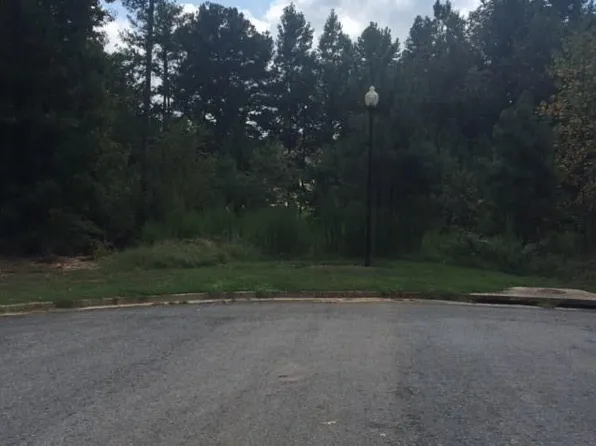 2809 Carson Garret Ct, Buford, GA 30519