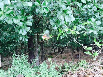 105 Silver Lake Cir, Columbia, SC, 29212