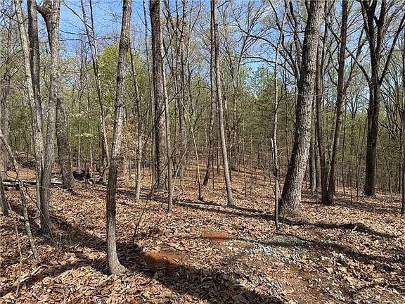 5th image of 0 Bethel Rd