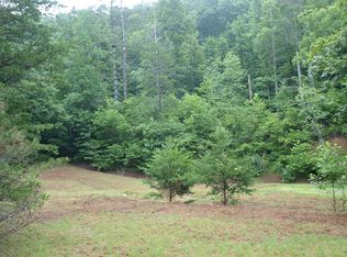 3910 Raccoon Rd, Hueysville, KY 41640