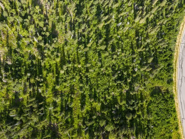 L4 Mountain Air Dr, Anchorage, AK 99516