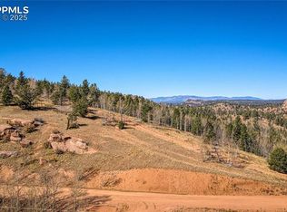 1343 Golden Cycle Cir, Cripple Creek, CO 80813