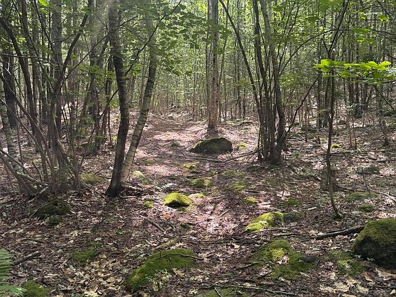 3rd image of L24 Poplar Ridge Drive