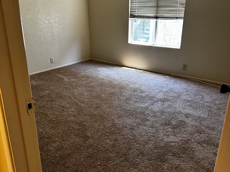4120 Venus St #D — Photo 12