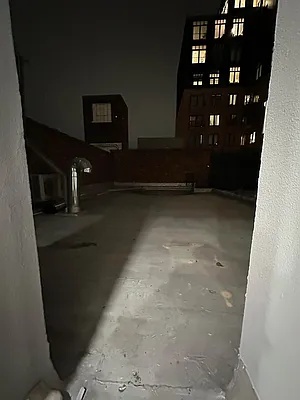 Rented by Budget Real Estate NYC Inc | media 12