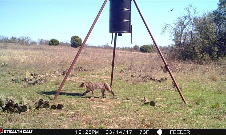 1st image of 3415 County Road 371