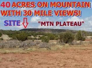 8904 Buffalo Ridge Ln, Show Low, AZ 85901