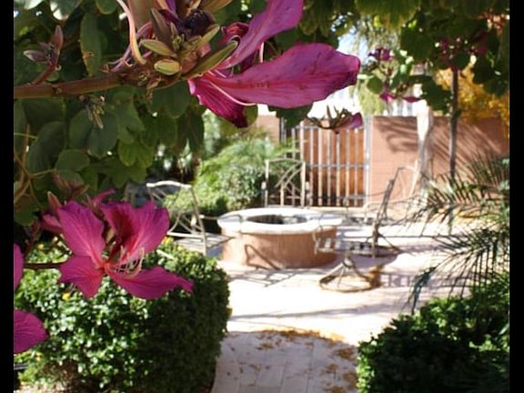 beautiful botanical garden backyard