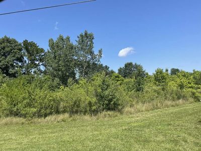 Hills Rd, Baroda, MI, 49101