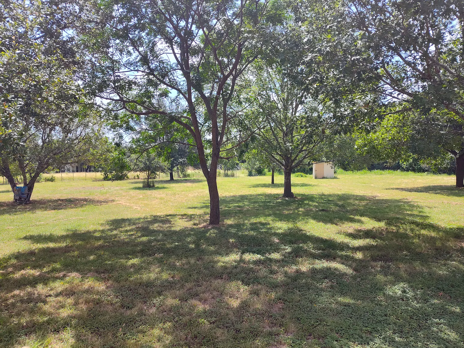 1 bed, 850 sqft, $1,150 — Photo 3